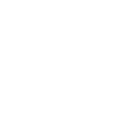 MIRAMAR - LOGOS 2022 (11).png
